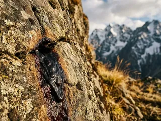 Shilajit resin on Himalayan rock